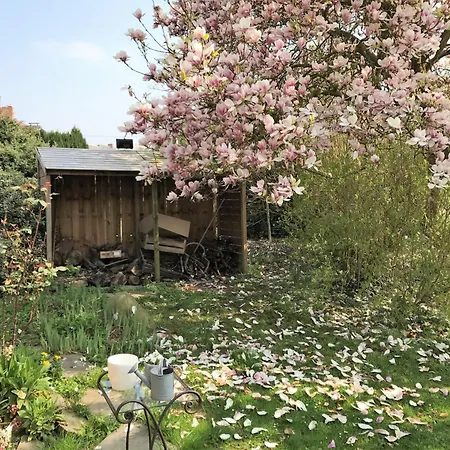 Paisible Avec Jardin Prive, Cheminee Et Equipements Modernes Au Coeur Du Parc Naturel De L'avesnois - Fr-1-510-98 * Choisies