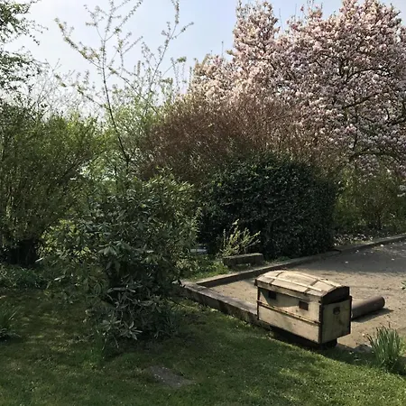 Holiday home Paisible Avec Jardin Prive, Cheminee Et Equipements Modernes Au Coeur Du Parc Naturel De L'avesnois - Fr-1-510-98 Choisies